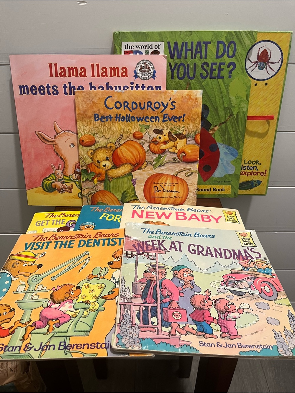The Berenstain Bears Book Set 5 Bundle